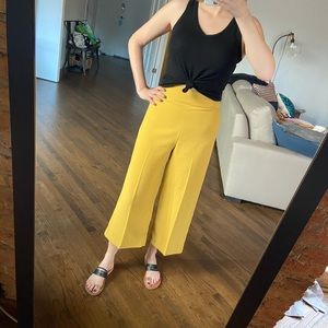 Express High Waisted Culotte Pant